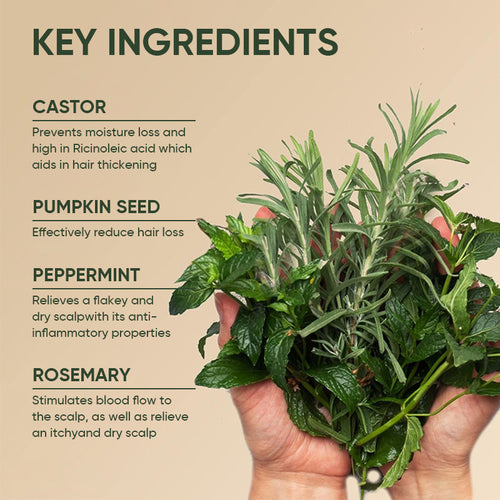 Rosemary Tonic - Water based Scalp Spray